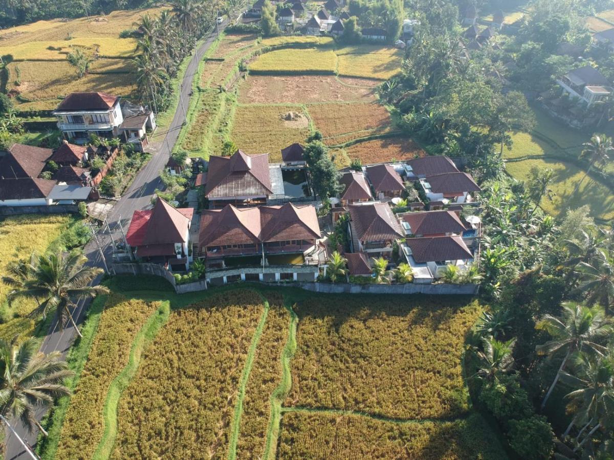 Danakha Villa Ubud 德格拉朗 外观 照片
